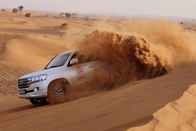 Dubai Desert Safari, Dinner, Shows, Camel Ride, Sand Boarding, Optional ATV Ride - Traveler Tips and Photos