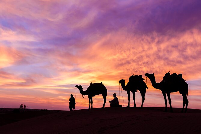 Dubai Desert Safari Dune Bashing, Camel Ride, Sand Boarding, BBQ Dinner. - Mesmerizing Sunset on the Red Dunes