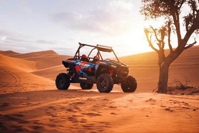 Dubai Desert Safari, Dune Bashing, Quad Bike, Camel Ride - Tips for a Memorable Desert Safari Experience