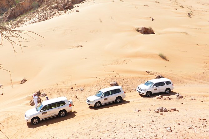 Dubai Desert Safari Exclusive Jeep, Activities, Shows (01-05 Persons) per Jeep - Thrilling Dune Bashing on Golden Dunes