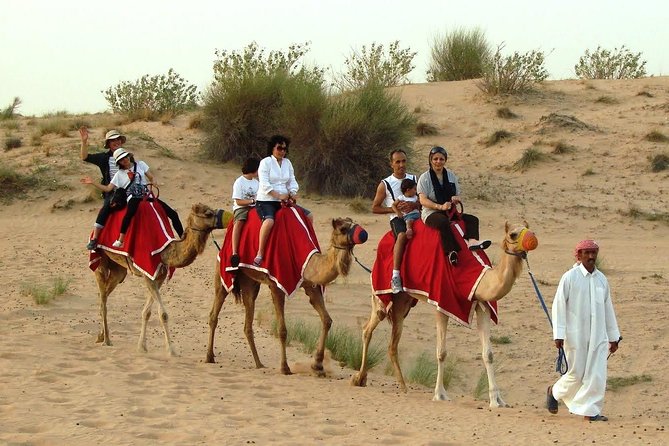 Dubai Desert Safari Morning With Quad Biking and Camel Ride - The Sum Up