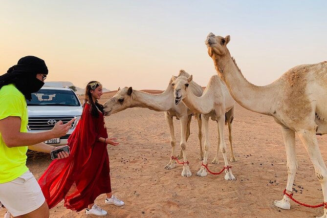 Dubai Desert Safari, Quad Bike Experience With BBQ Dinner - The Sum Up