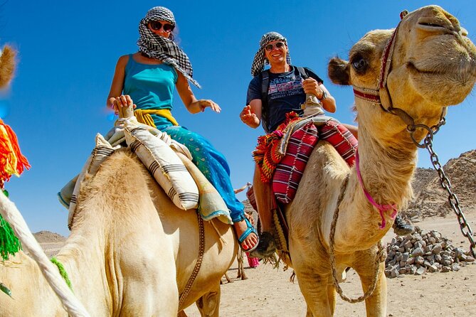 Dubai Desert Safari Tour With BBQ Dinner - Desert Safari Activities