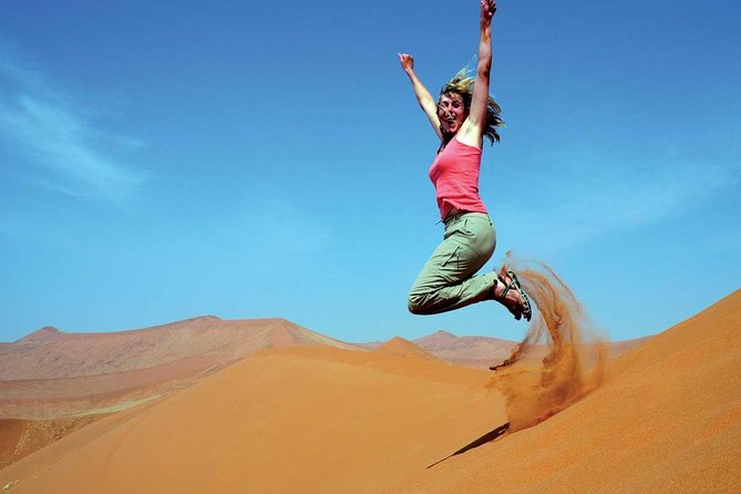Dubai Desert Safari With BBQ Dinner, Camel Ride, and Shows - Reviews From Previous Travelers