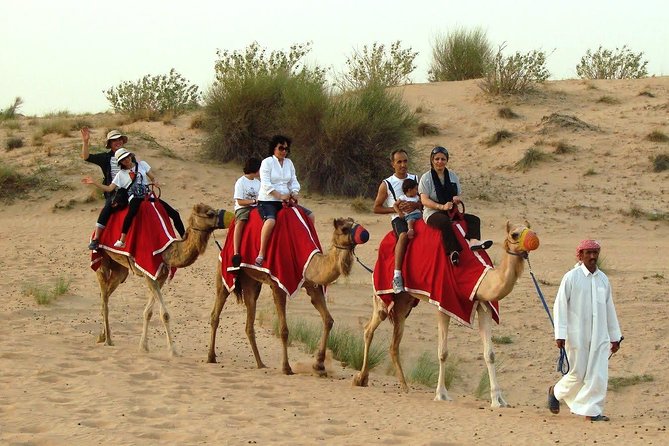 Dubai Desert Safari With BBQ Dinner, Camel Ride, Sandboarding Etc - Meeting and Pickup Information