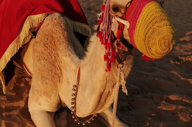 Dubai Desert Safari With Buffet Dinner Evening - Safety Measures