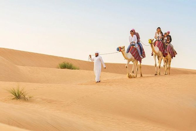 Dubai: Desert Safari With Camel Ride & Dune Bashing - Traditional Customs and Cultural Experiences