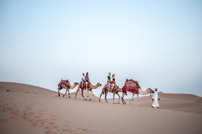 Dubai Desert Safari With Camel Ride, Horse Ride, Falcon Photography & Dinner - Thrilling 4x4 Ride Through the Desert Dunes