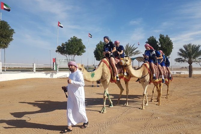 Dubai Desert Safari With Camel Riding, Sand Boarding,BBQ Dinner and 3 Live Shows - Traveler Experiences and Reviews