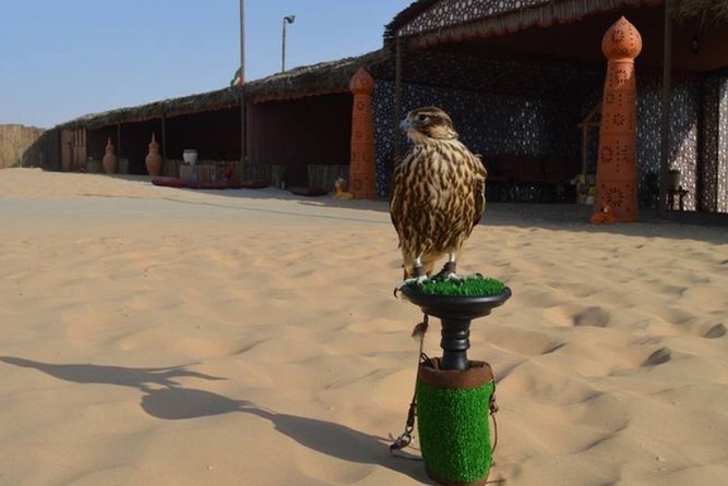 Dubai Desert Safari With Camel Riding, Sand Boarding,BBQ Dinner and 3 Live Shows - Private Driver and Photography