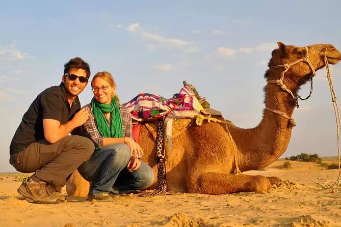 Dubai Desert Safari With Dance Show, Sand Boarding, Camel & BBQ - Queries and Contact Information