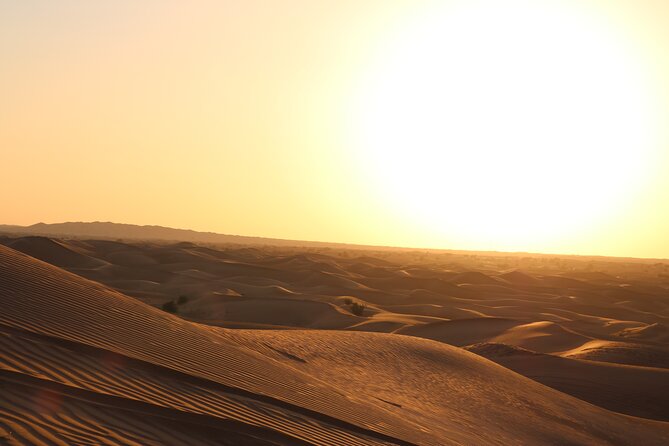 Dubai Desert Safari With Dinner, Dune Bashing and Camel Riding - What to Expect on the Dubai Desert Safari