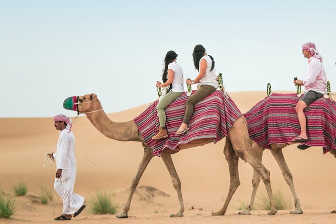 Dubai Desert Safari With Dinner, Dune Bashing and Camel Riding - The Sum Up