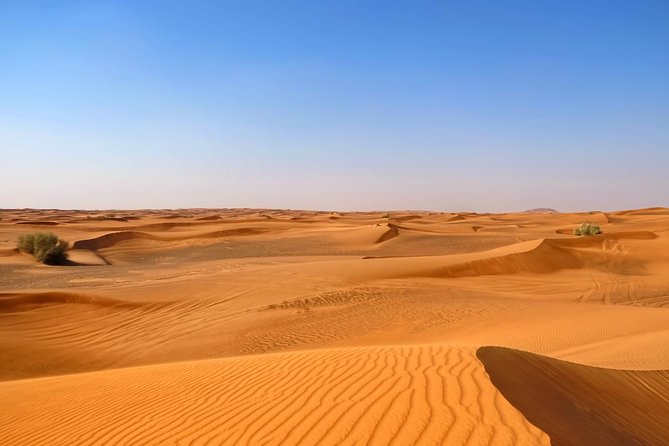 Dubai Desert Safari With Dune Bashing, Camel Rides & BBQ - Cancellation Policy and Refunds