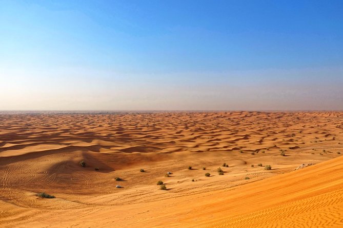 Dubai Desert Safari With Dune Bashing, Camel Rides & BBQ - Captivating Traveler Photos of the Safari