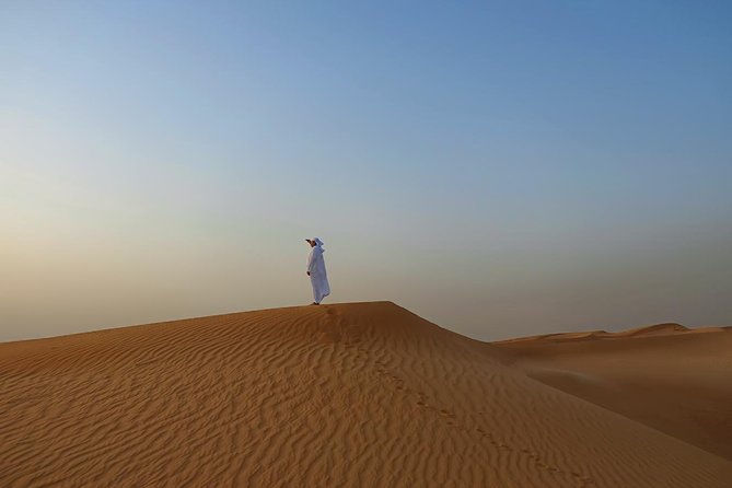 Dubai Desert Safari With Dune Bashing, Camel Rides & BBQ - Review of the Safari Experience