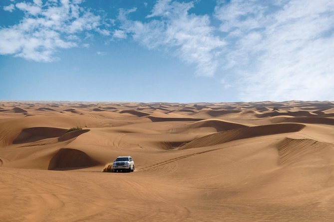 Dubai Desert Safari With Dune Bashing, Camel Rides & BBQ - Questions and Inquiries About the Safari