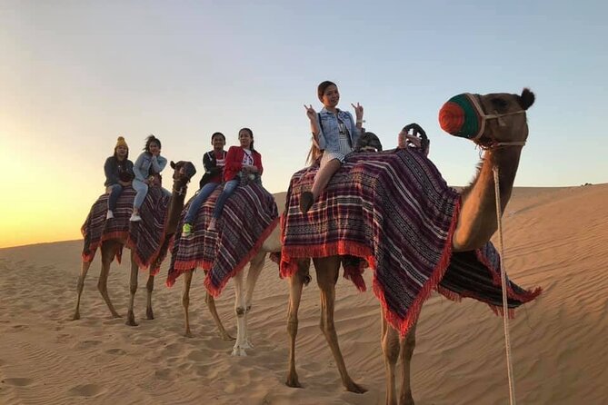 Dubai Desert Safari With Dune Bashing , Dinner Buffet & Entertainments - Reviews and Testimonials From Travelers