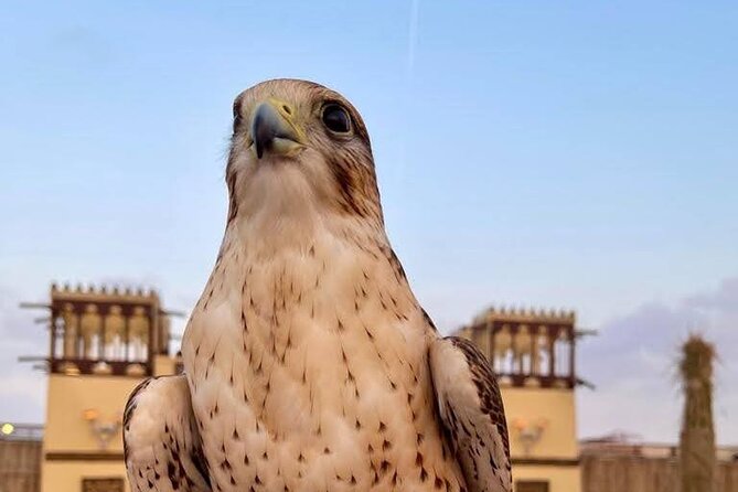 Dubai Desert Safari With Live Entertainment Shows and Dinner BBQ - Tour Duration and Pick-up Details