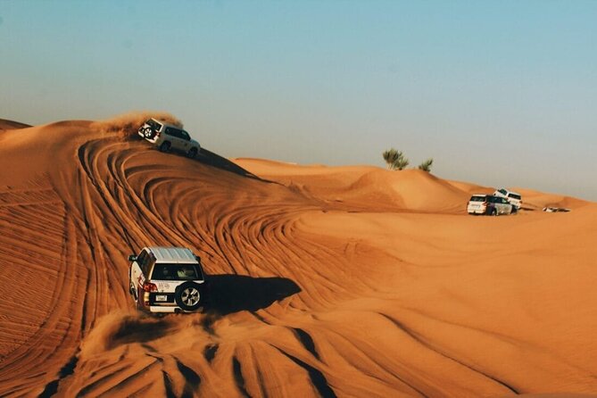 Dubai Desert Safari With Live Show, BBQ Dinner, Camel Ride & Sand Board Options - Reviews and Ratings