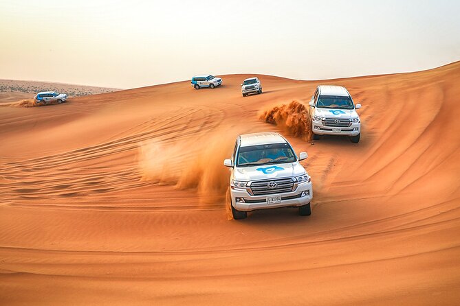 Dubai Desert Safari With Live Show, BBQ Dinner, Camel Ride & Sand Board Options - Customer Support