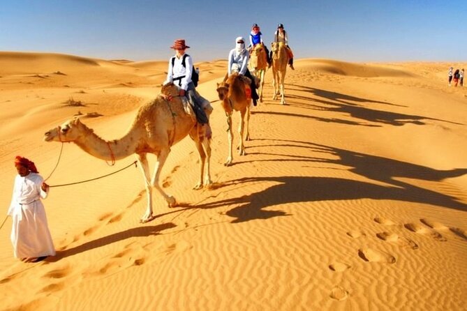 Dubai Desert Safari With Live Show, BBQ Dinner, Camel Ride & Sand Board Options - The Sum Up