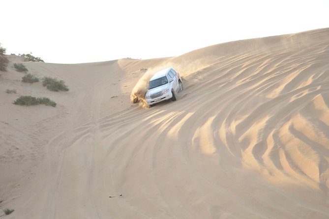 Dubai Desert Safari With Private Land Cruiser Hotel Pickup and Drop off - Overview and Activities