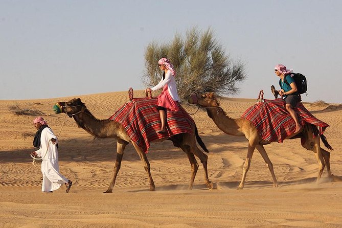 Dubai Desert Safari With Quad Bike & Dune Bashing & Camel Ride & BBQ Dinner - Common Questions