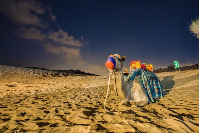 Dubai Desert Safari With Quad Bike, Sandboarding, Live Show & BBQ - Pickup Details and Logistics