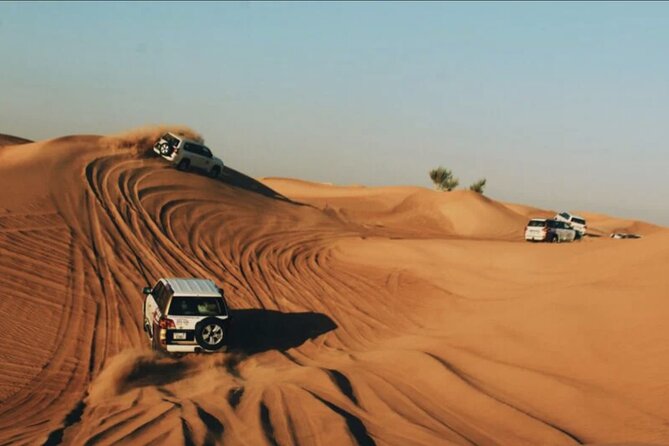 Dubai Desert Safari With Quad Biking - Common Questions