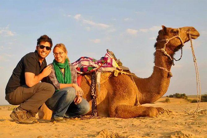 Dubai Desert Sunset Safari With Dinner Experience - Reviews and Ratings From Previous Travelers