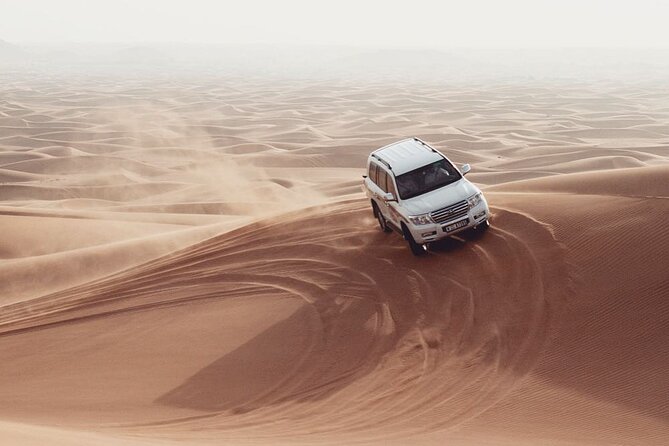 Dubai Dune Bashing, Sand Boarding and Camels With Barbeque - Good To Know