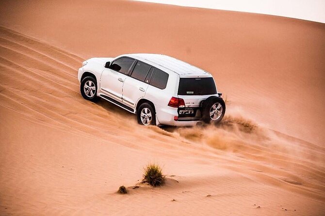 Dubai Dune Bashing, Sand Boarding and Camels With Barbeque - What To Expect