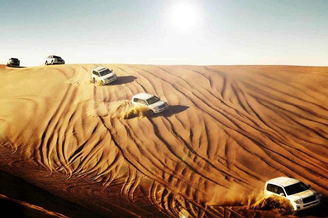 Dubai : Dune Bashing Tour Private Basis - Dune Bashing Tour Highlights