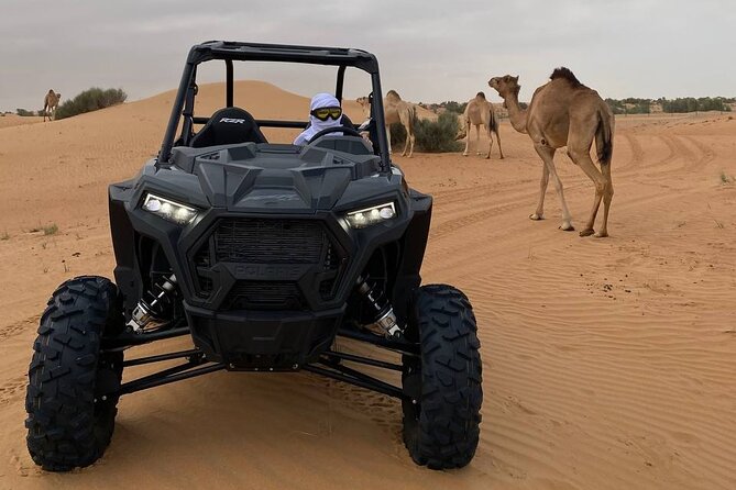 Dubai: Dune Buggy Ride Adventure, Sand Boarding, Desert Safari - The Sum Up