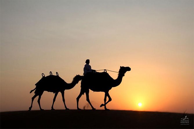 Dubai Dunes: Sunset Dinner Safari - Tour Highlights