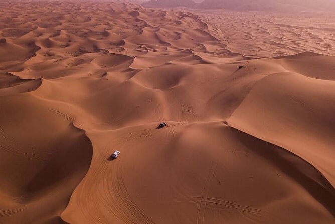 Dubai Evening Desert Safari and Camp With Dinner - Activities Included in the Tour Package