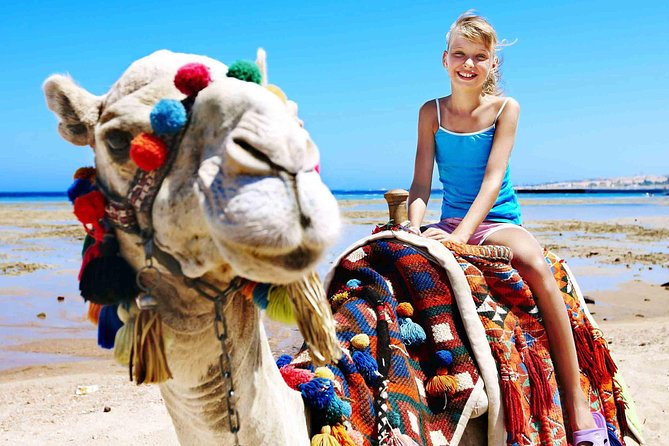 Dubai Evening Desert Safari Tour - Meeting and Pickup Information