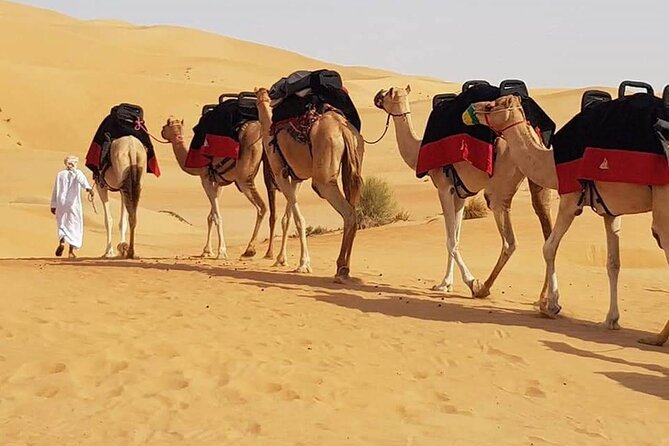 Dubai Evening Desert Safari Tour With Hotel Transfer, Camel Ride and BBQ Dinner - Tour Inclusions and Activities