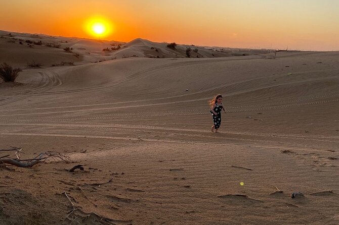 Dubai Evening Desert Safari Tour With Hotel Transfer, Camel Ride and BBQ Dinner - The Sum Up: Choosing the Right Desert Safari Tour
