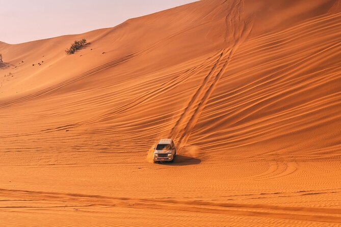 Dubai Evening Desert Safari With BBQ Buffet Dinner - Inclusions