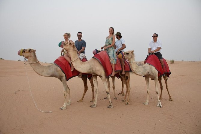 Dubai Evening Safari With Barbecue Dinner - Desert Safari Experience