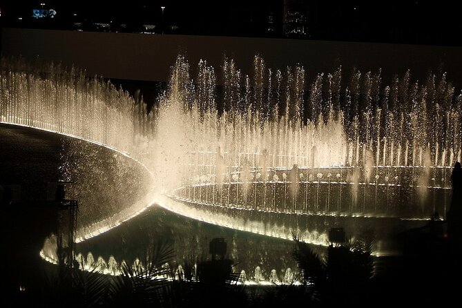 Dubai Fountain Show and Lake Ride - Select Date and Travelers