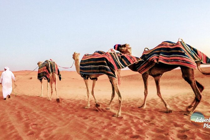 Dubai Full-Day Desert Safari Experience With Dinner - Tour Inclusions and Highlights