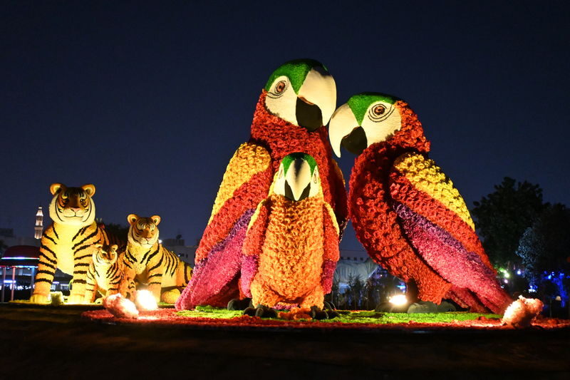 Dubai Garden Glow Ticket - At a glance