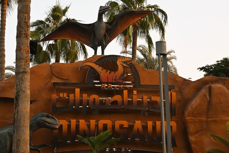 Dubai Garden Glow Ticket - Give Fantasy Park time for photos