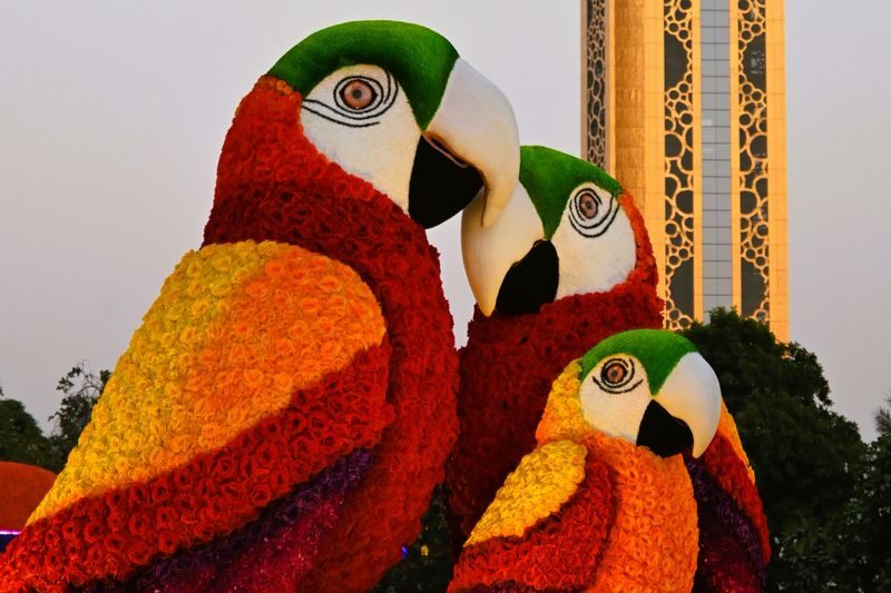 Dubai Garden Glow Ticket - How long to stay, and when to arrive