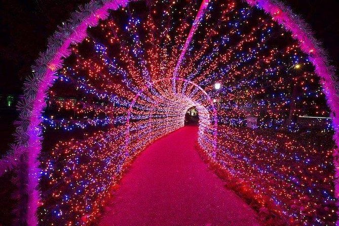 Dubai Garden Glow Ticket With Transfer - Overview and Description