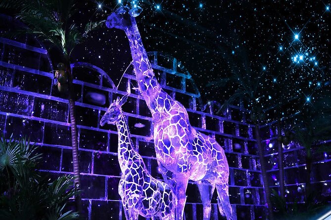 Dubai Glow Garden Dino Park and Magic Park Admission Ticket - Inclusions and Restrictions