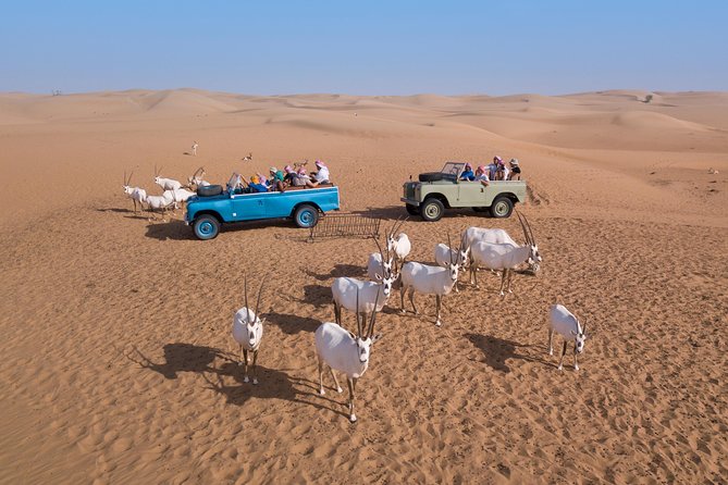 Dubai Heritage Land Rover Desert Safari With Traditional Dinner & Entertainment - Common Questions